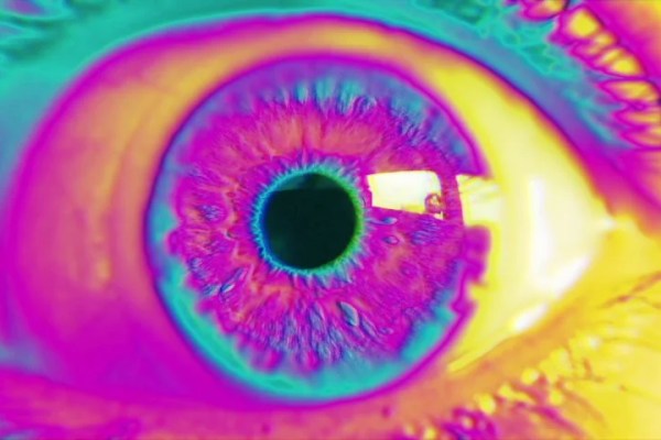 Shutterstock Video