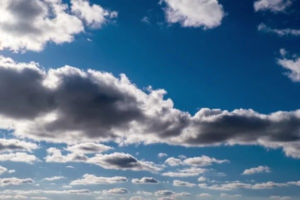 Shutterstock Video