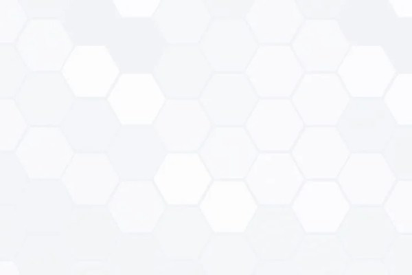 Shutterstock Video