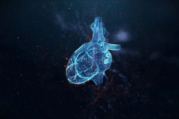Shutterstock Video
