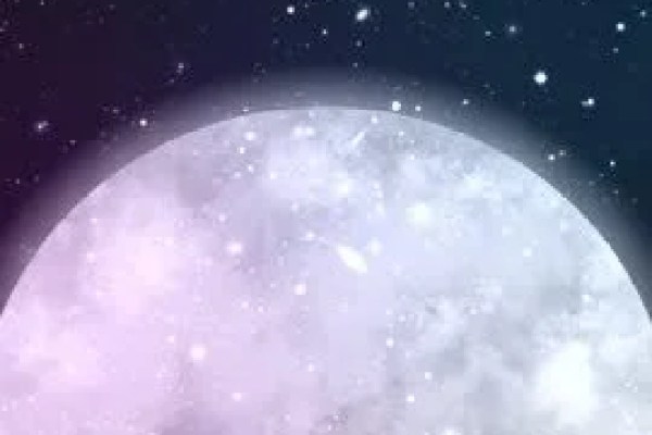 Shutterstock Video