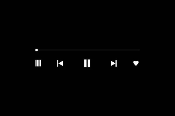 Shutterstock Video