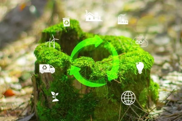 Shutterstock Video
