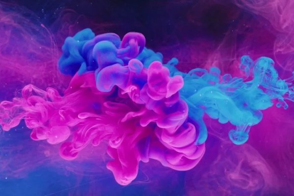 Shutterstock Video