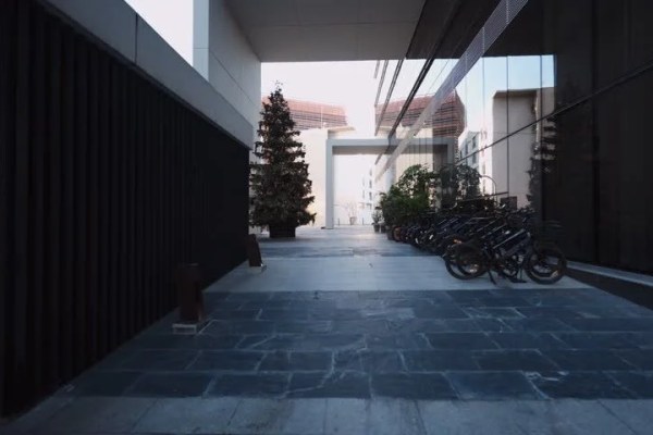 Shutterstock Video