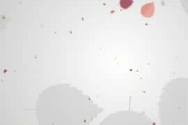 Shutterstock Video