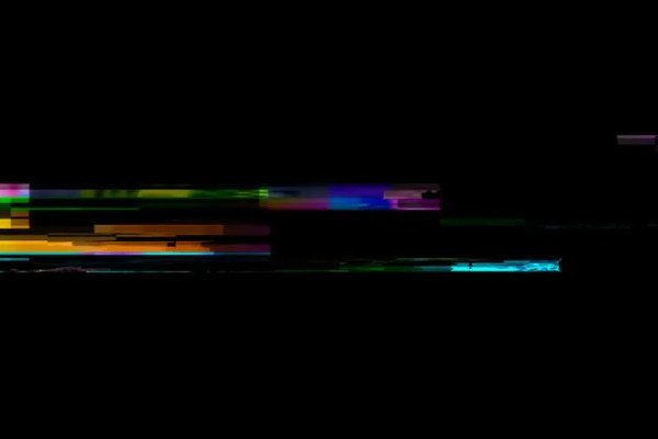 Shutterstock Video
