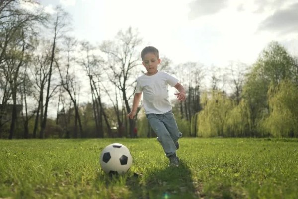 Shutterstock Video