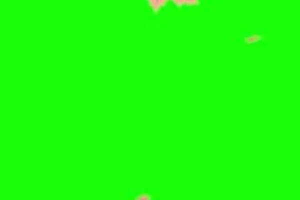 Shutterstock Video