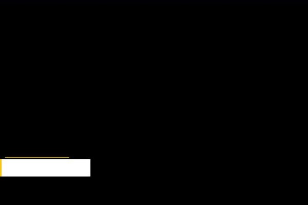 Shutterstock Video