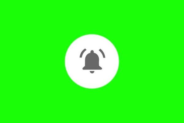 Shutterstock Video