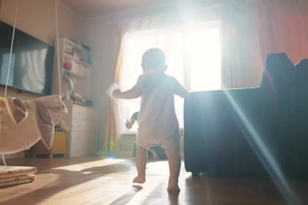 Shutterstock Video